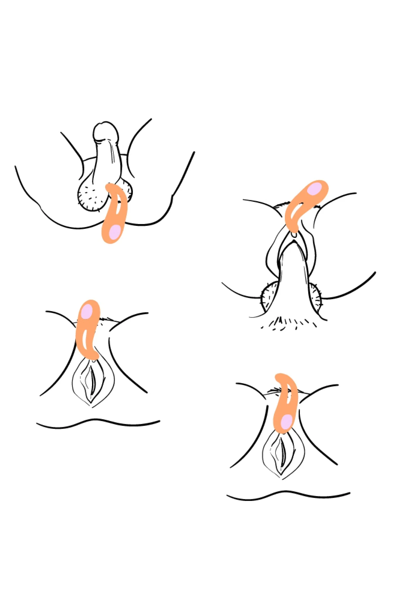 Immagine prodotto 13